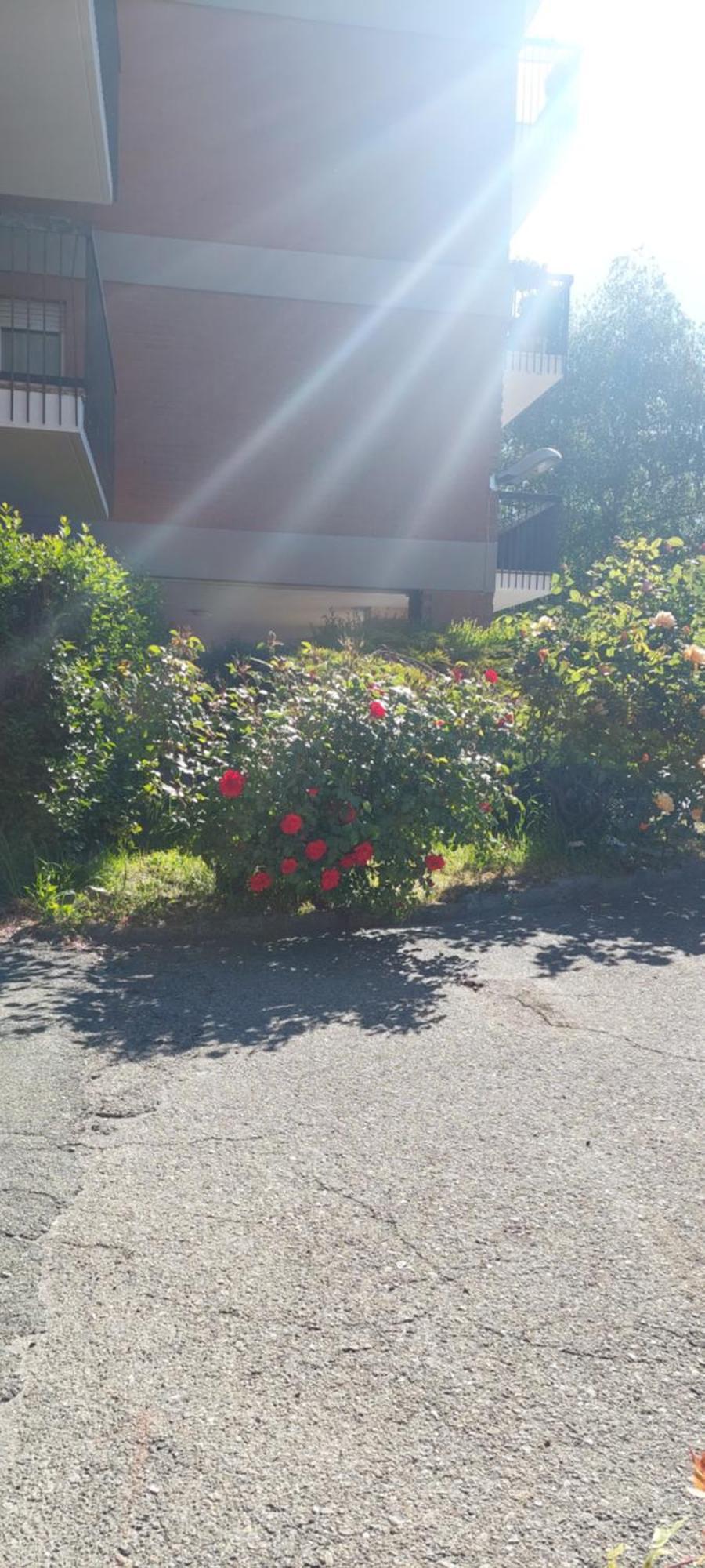 Il Mughetto Apartment Aosta Exterior photo